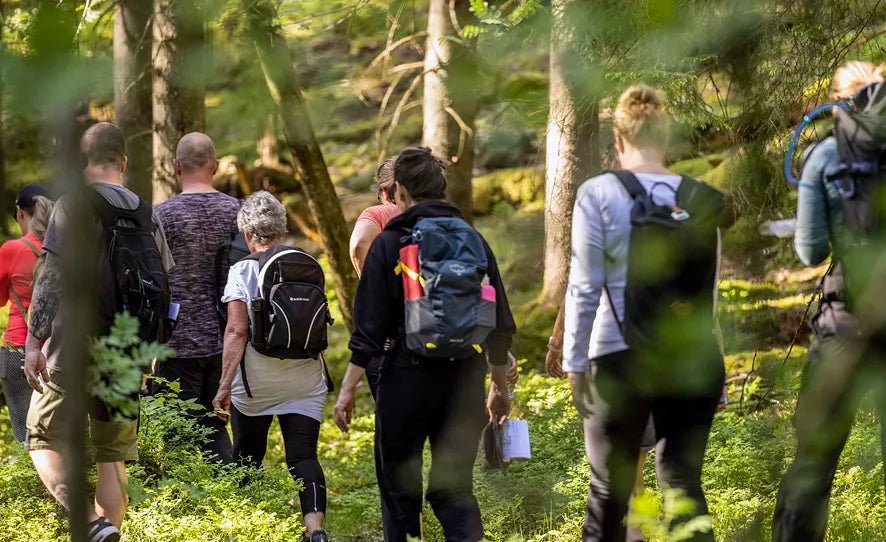 Introduktion till vandring