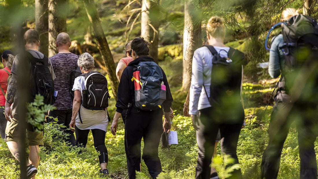 Vandring på Rya Åsar