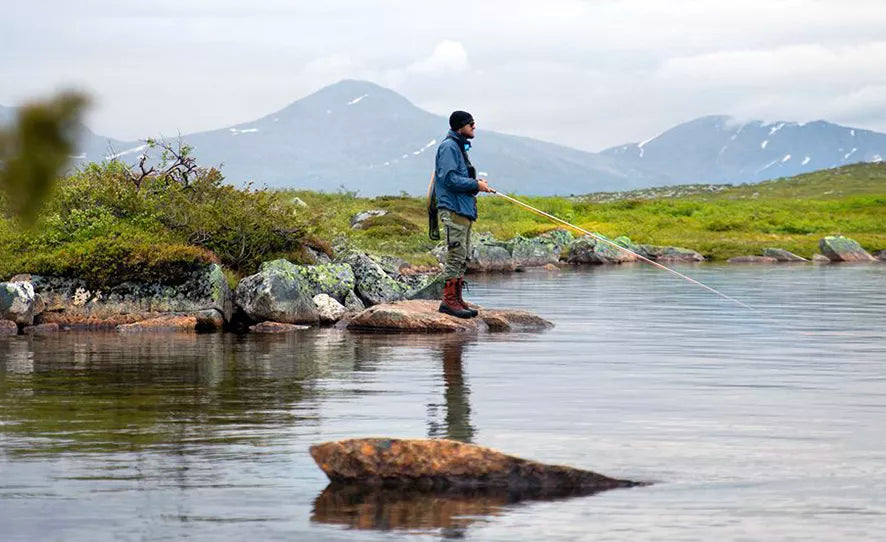 Vandring i fjällöringarnas dal