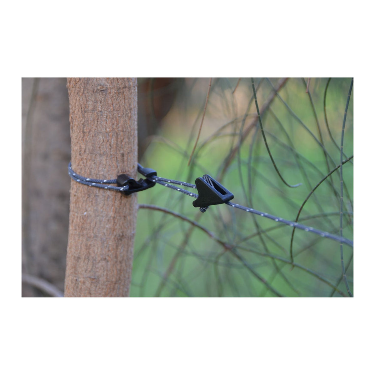 Clothesline, Black