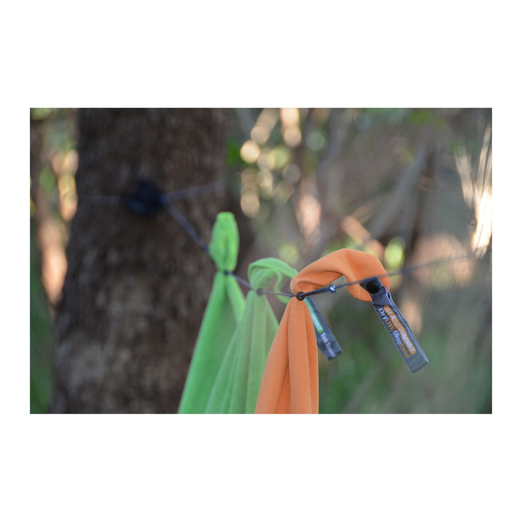 Clothesline-2