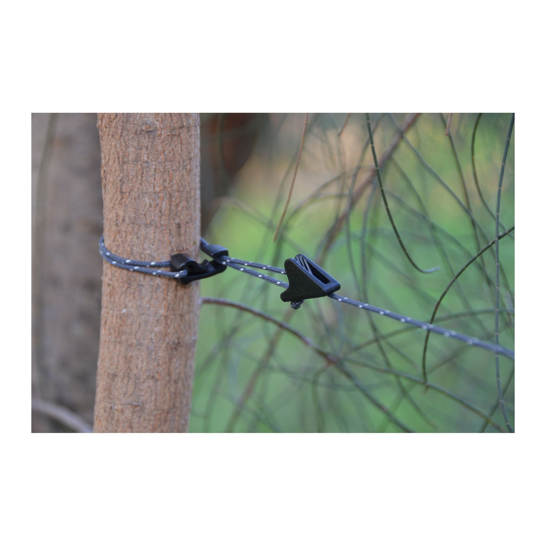 Clothesline-5