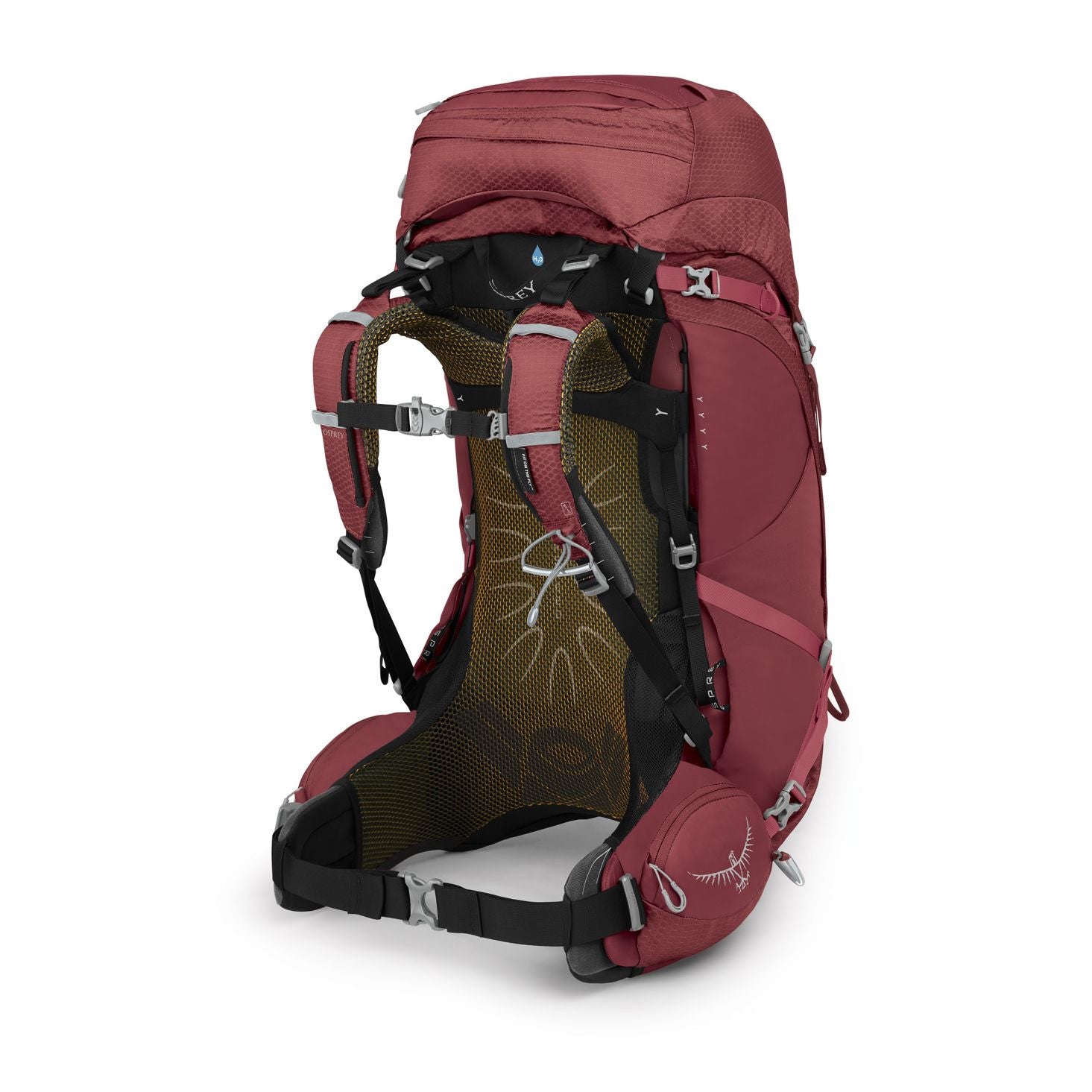 Aura AG 50, Berry sorbet red