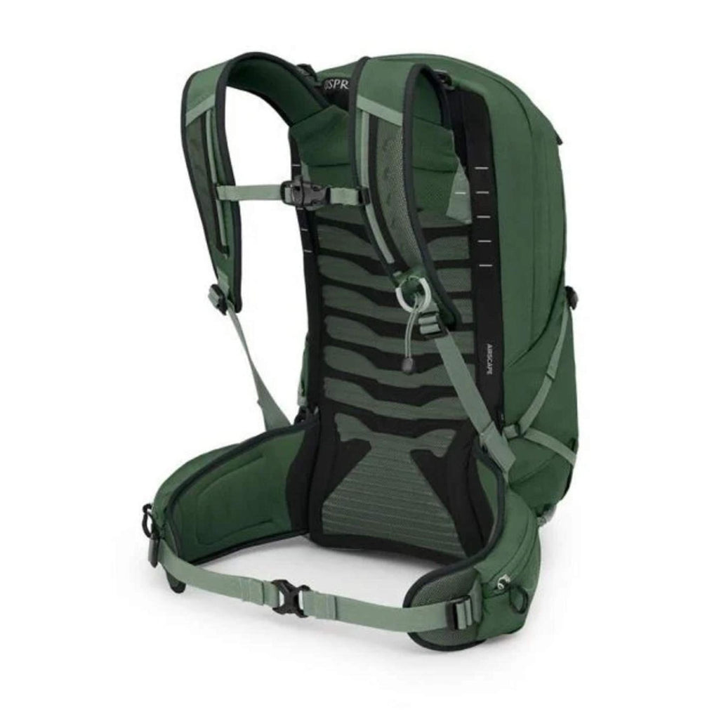 Talon 22, Green canopy pine leaf