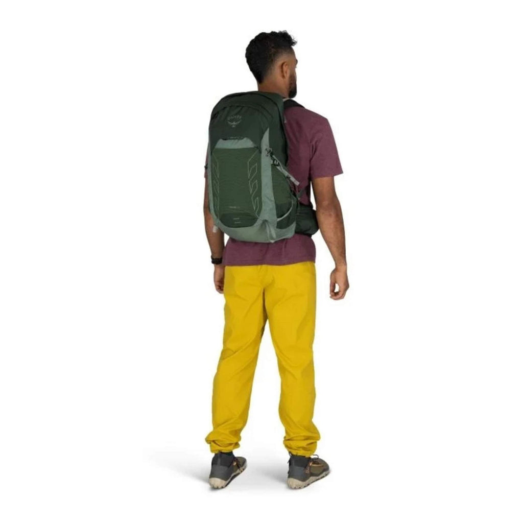 Talon 22, Green canopy pine leaf