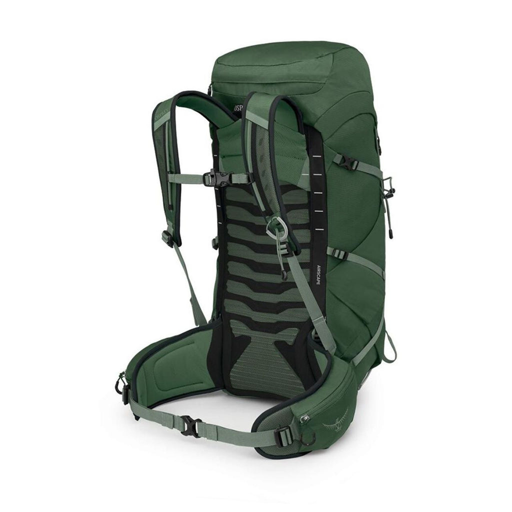 Talon 33, Green canopy pine leaf