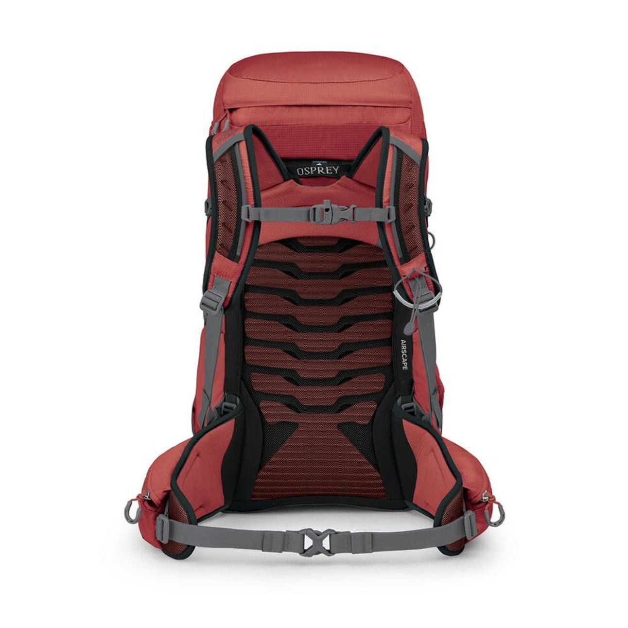 Tempest 33, Red pampas coal grey