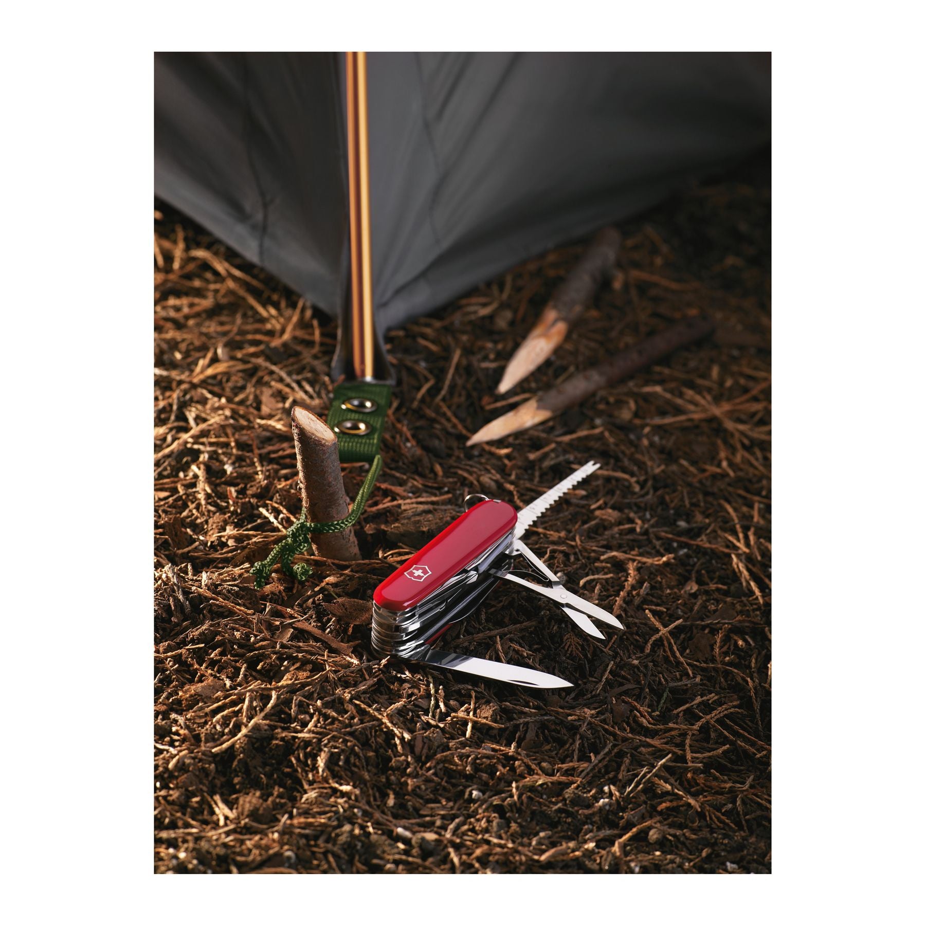 SwissChamp, Silver transparent