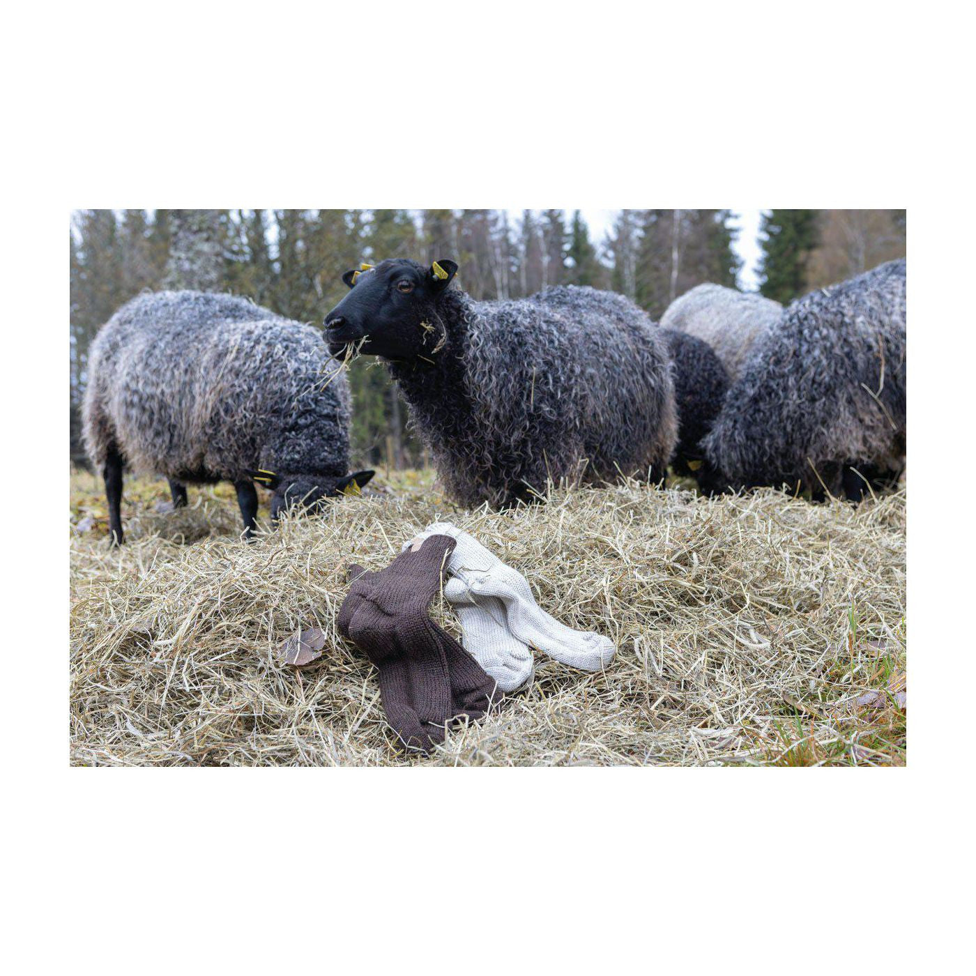 NLS Rag sock, Nutmeg