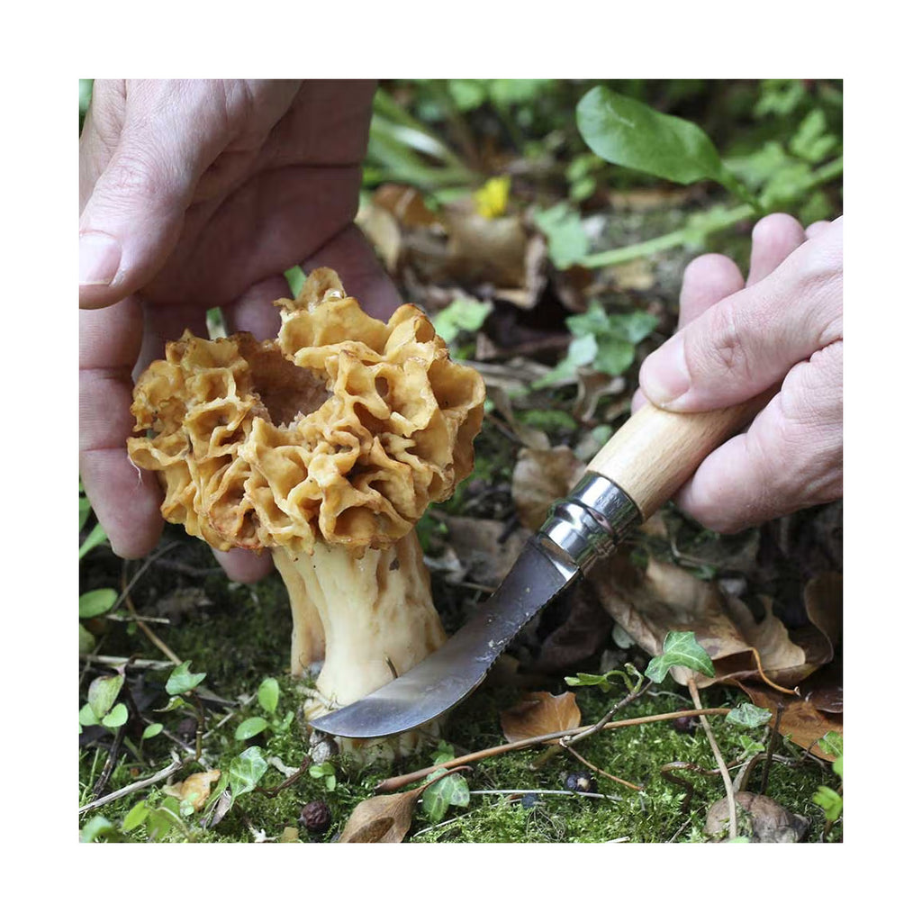 Mushroom Knife No8-2