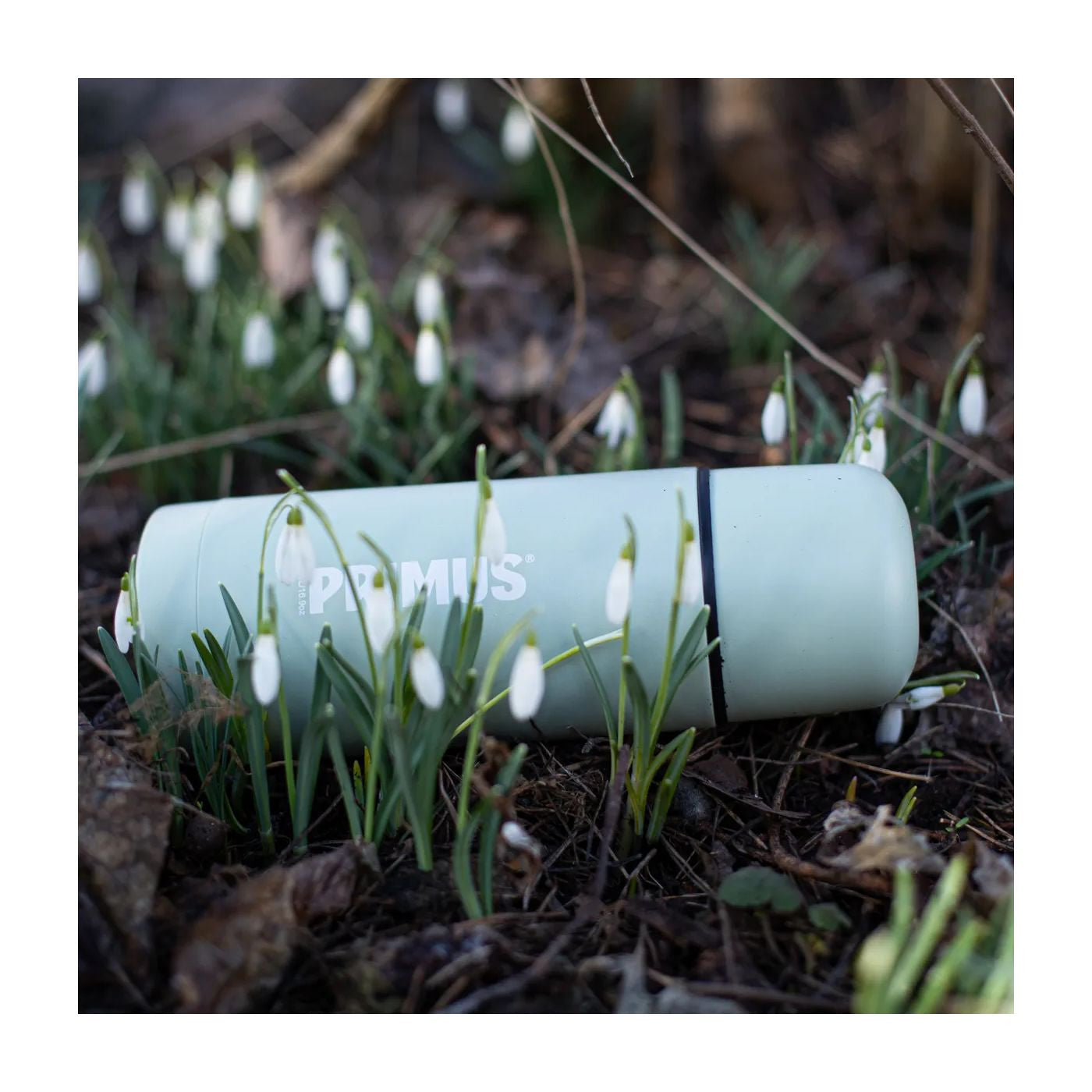 Vacuum Bottle 0.5, Mint