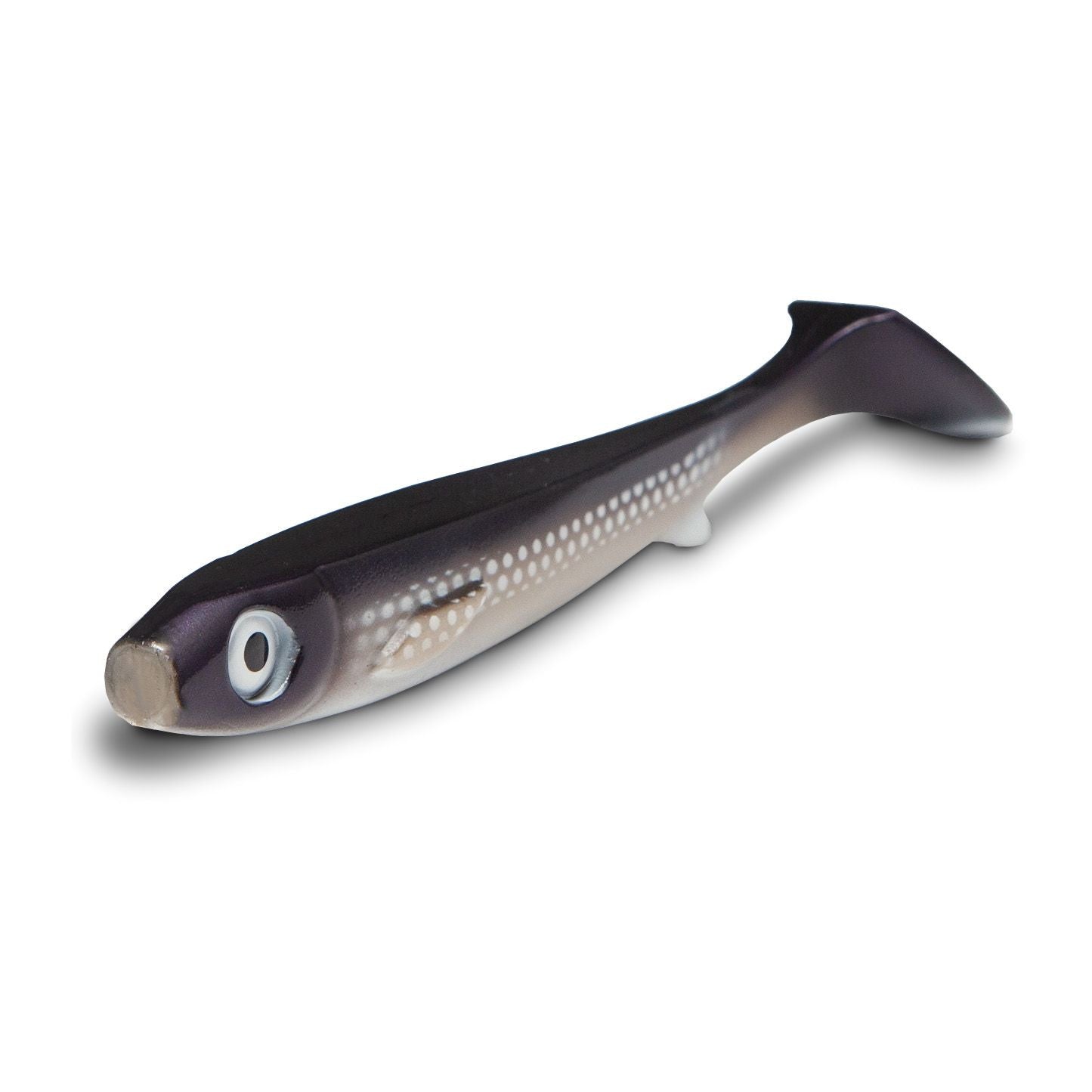 Flatnose Shad 19cm, Coregonus