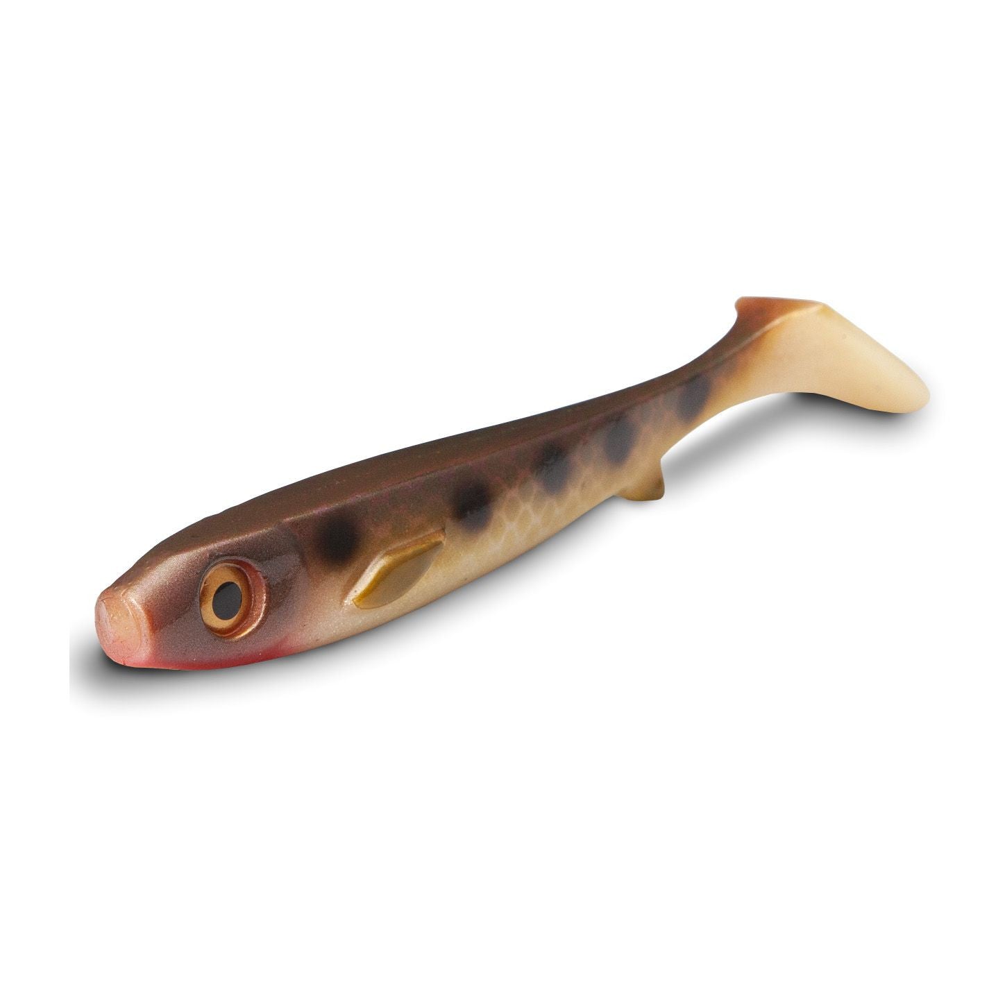 Flatnose Shad 19cm, Baby bait