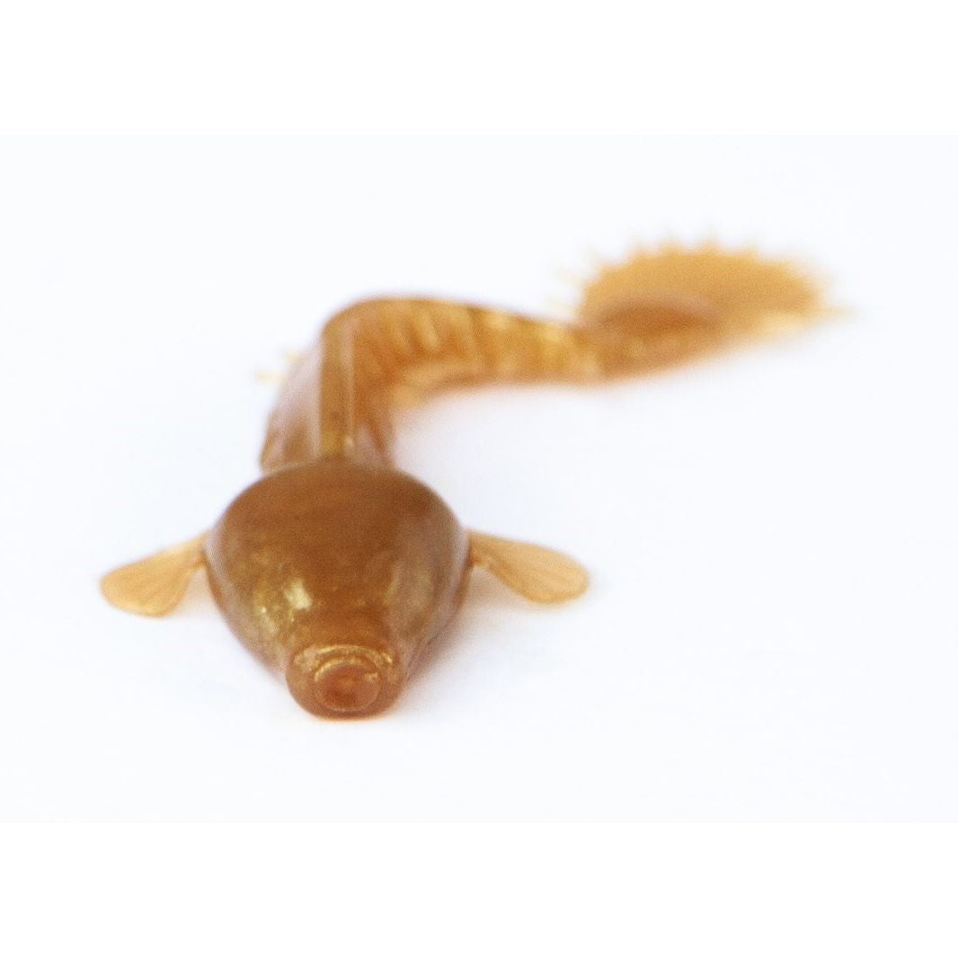 Monkey Fry 7cm 16-pack, Kiwi