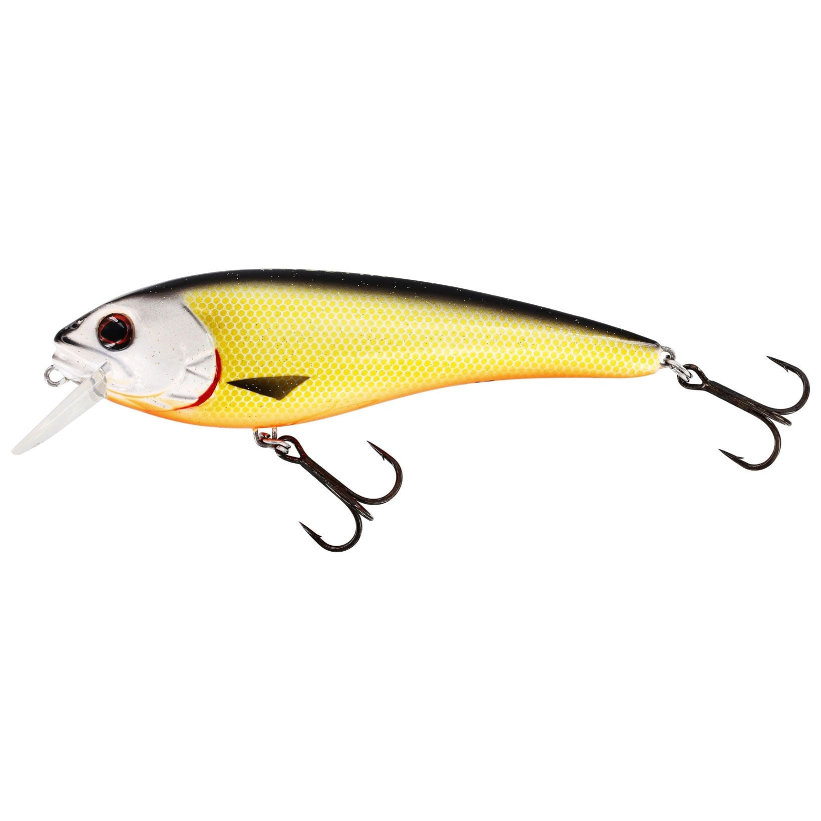 Westin Rawbite 15cm, Official roach