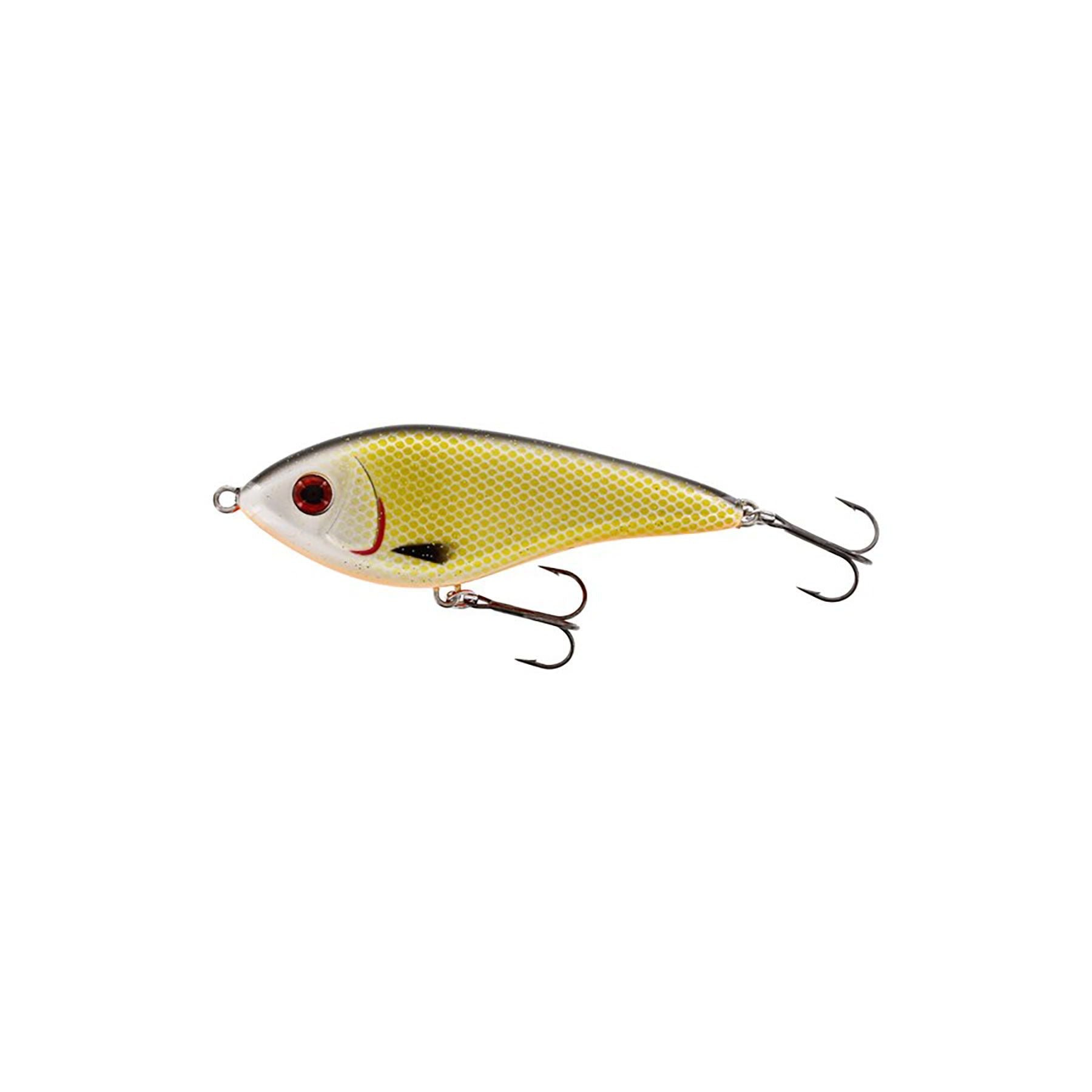 Swim 12cm intermediate, Official roach
