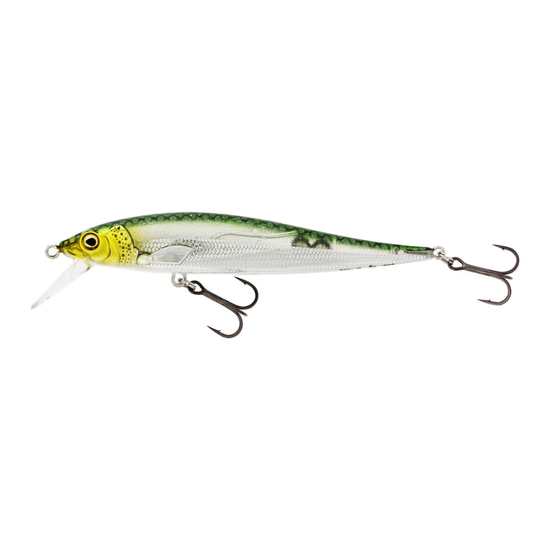 Jerkbite SR Jerkbait 7,5cm 5g Suspending