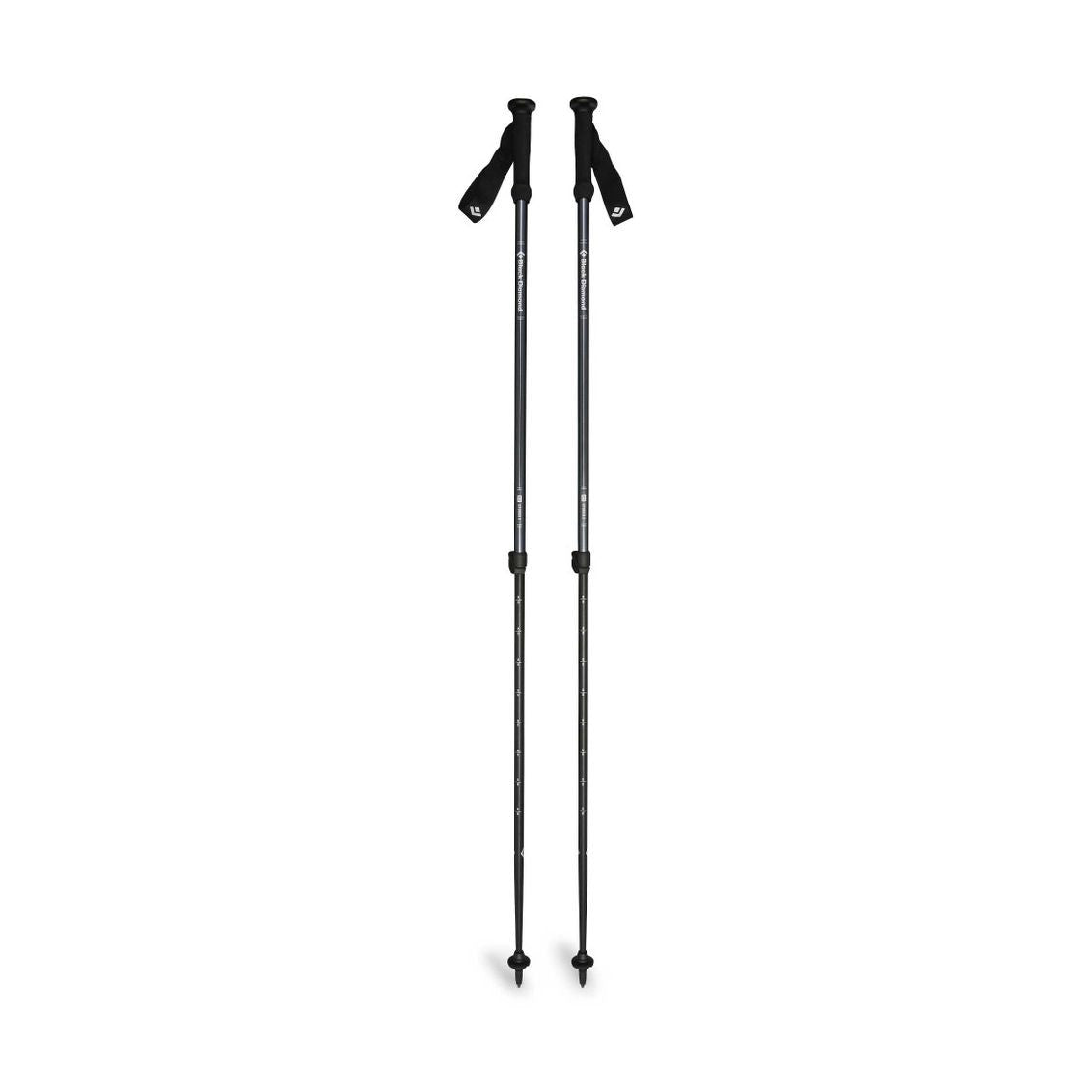 Explorer 2 Trekking Poles-1