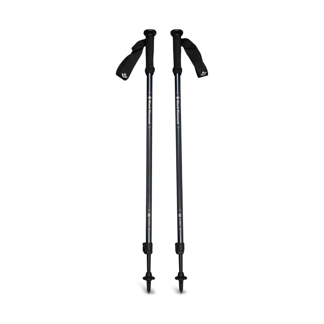 Explorer 2 Trekking Poles-2