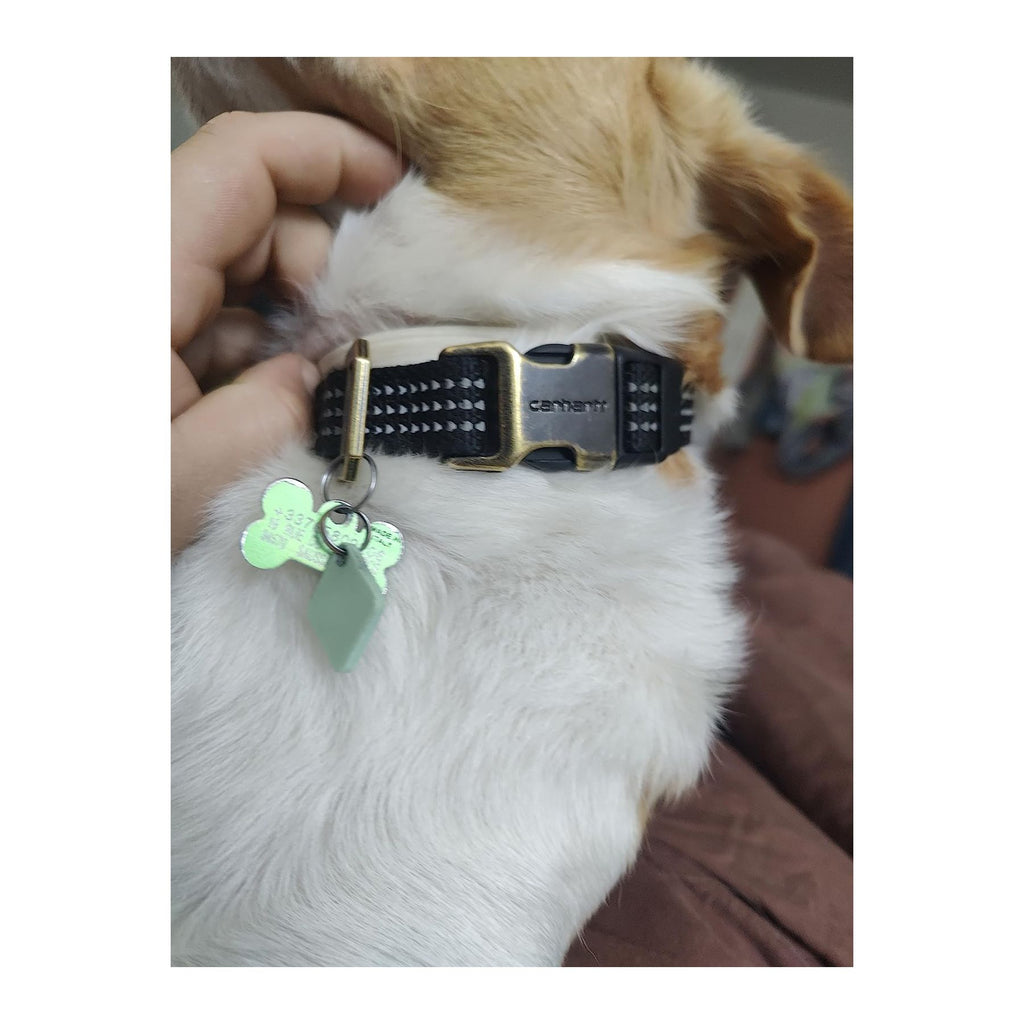 Tradesman Dog Collar, Black