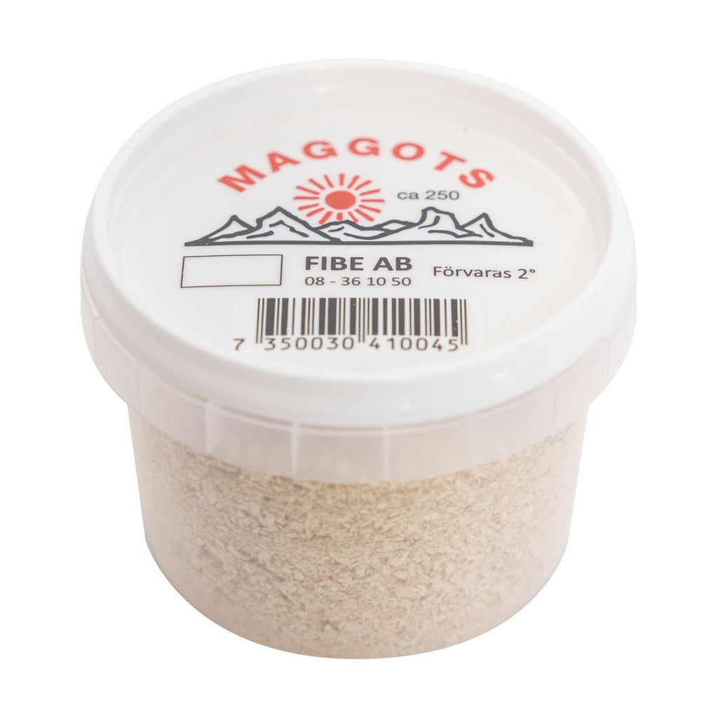 Maggots, Vit