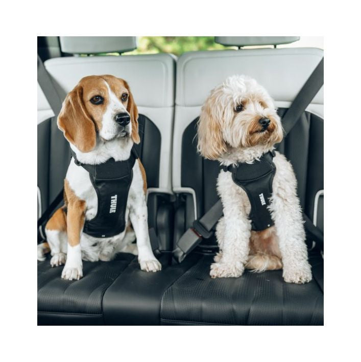 Cappy Bilsele för hund, L