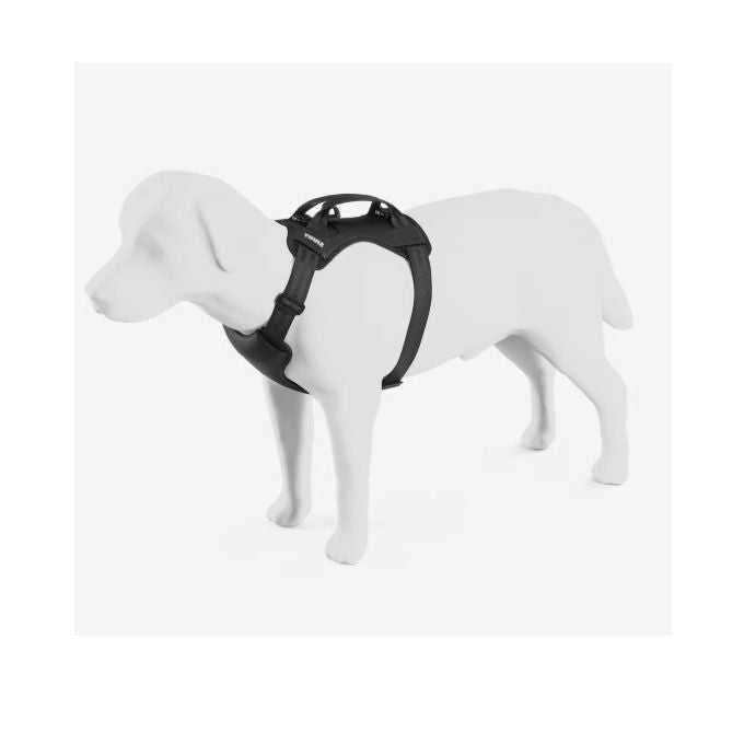 Cappy Bilsele för hund, M