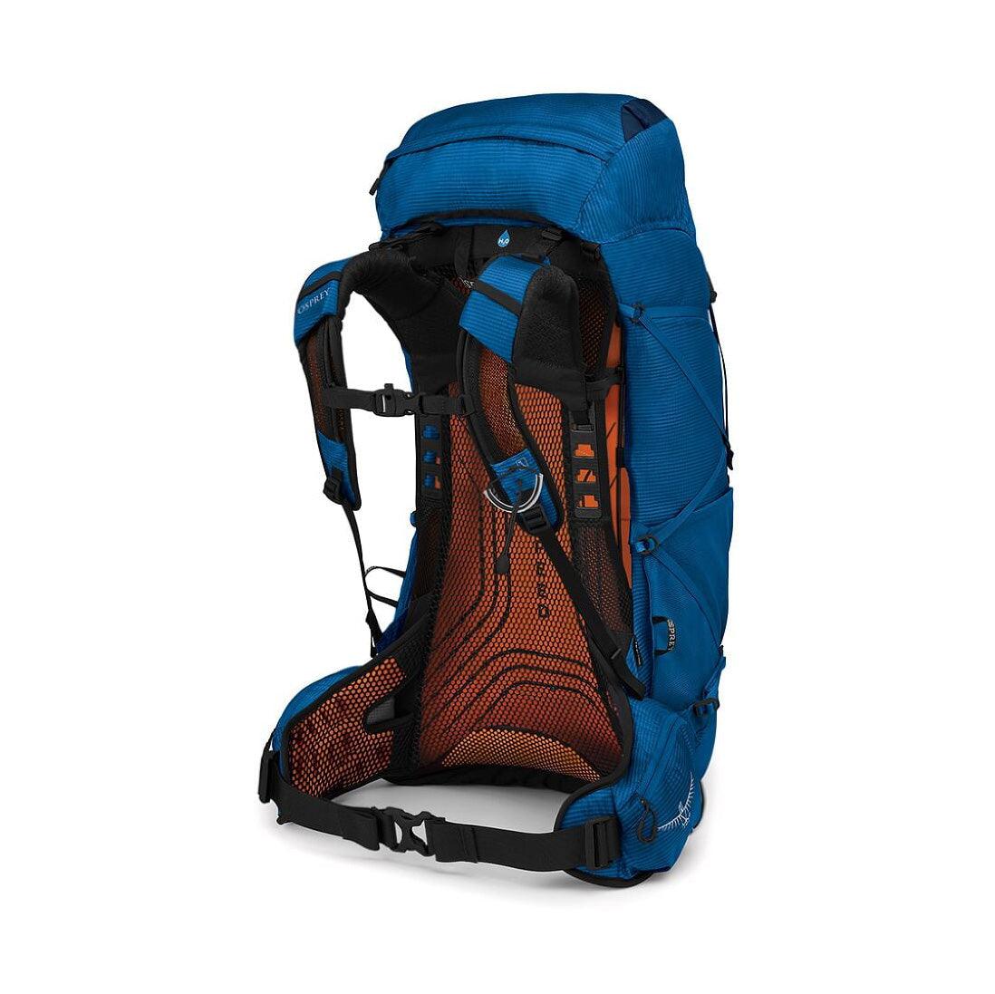 Exos 48, Blue Ribbon