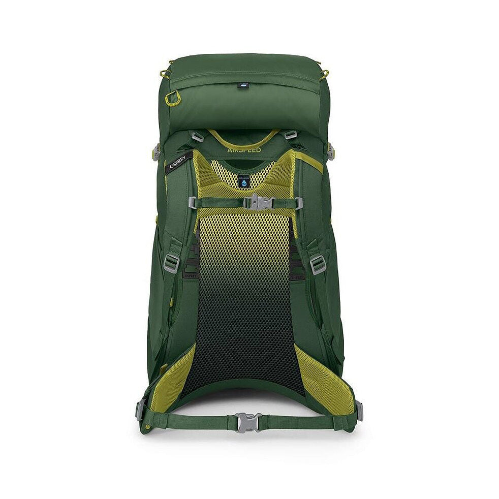 Ace 38, Green Canopy