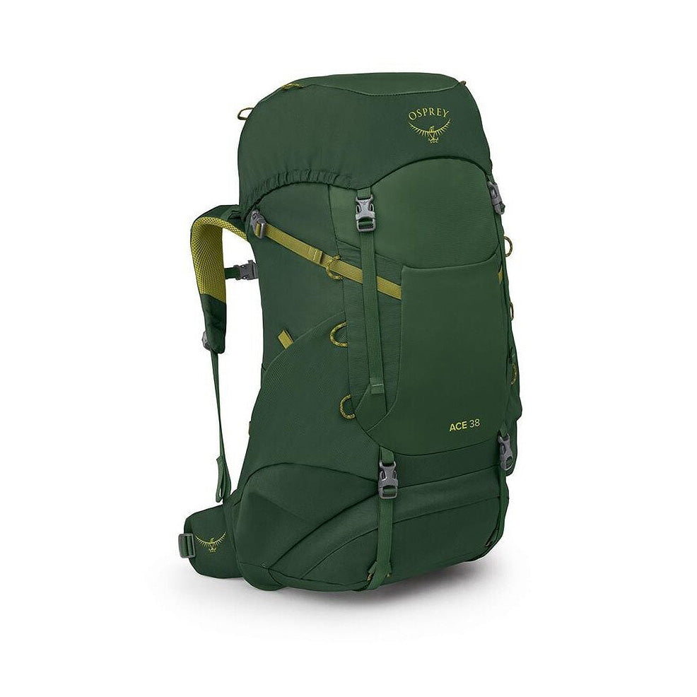 Ace 38, Green Canopy
