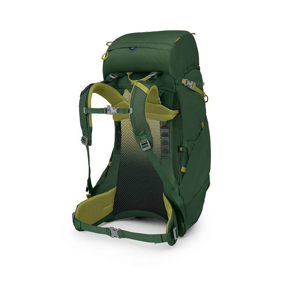 Ace 38, Green Canopy