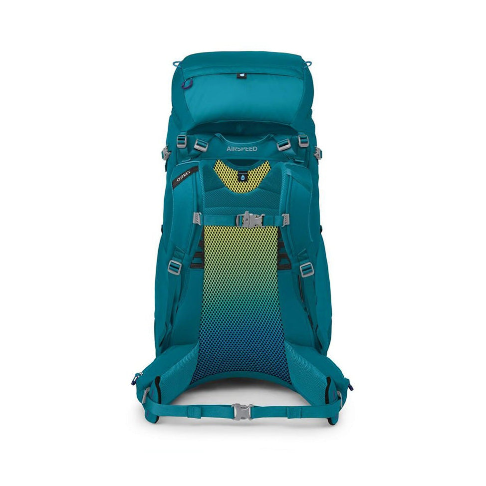 Ace 50, Blue Spikemoss Deep Peyto