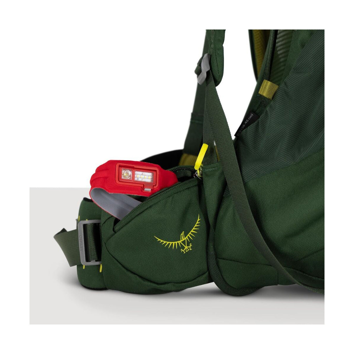 Ace 50, Blue Spikemoss Deep Peyto