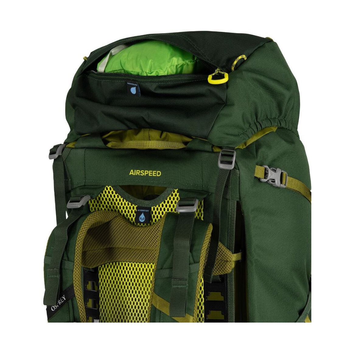 Ace 50, Blue Spikemoss Deep Peyto