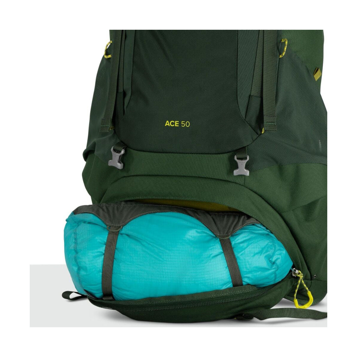 Ace 50, Blue Spikemoss Deep Peyto