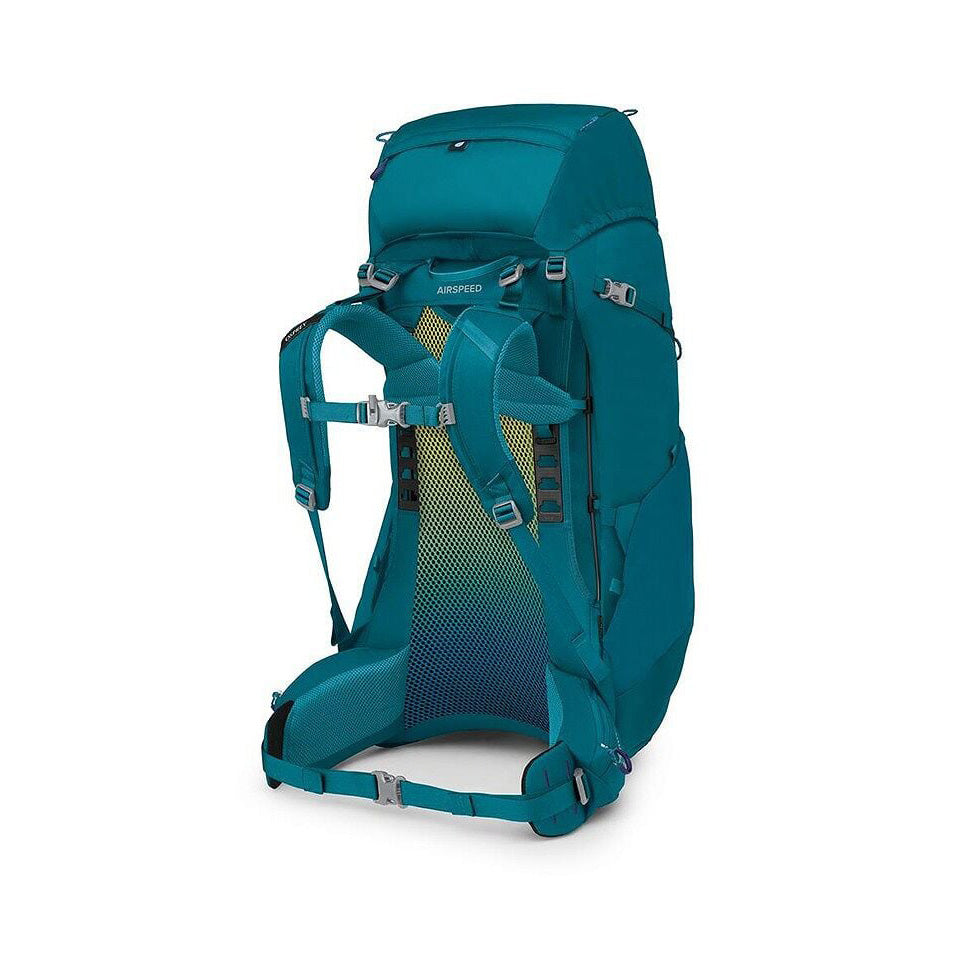 Ace 50, Blue Spikemoss Deep Peyto