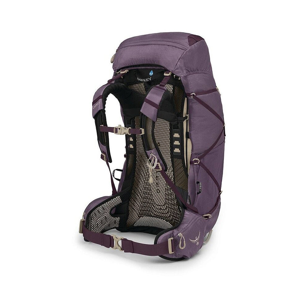 Eja 58 W, Purple Dusk