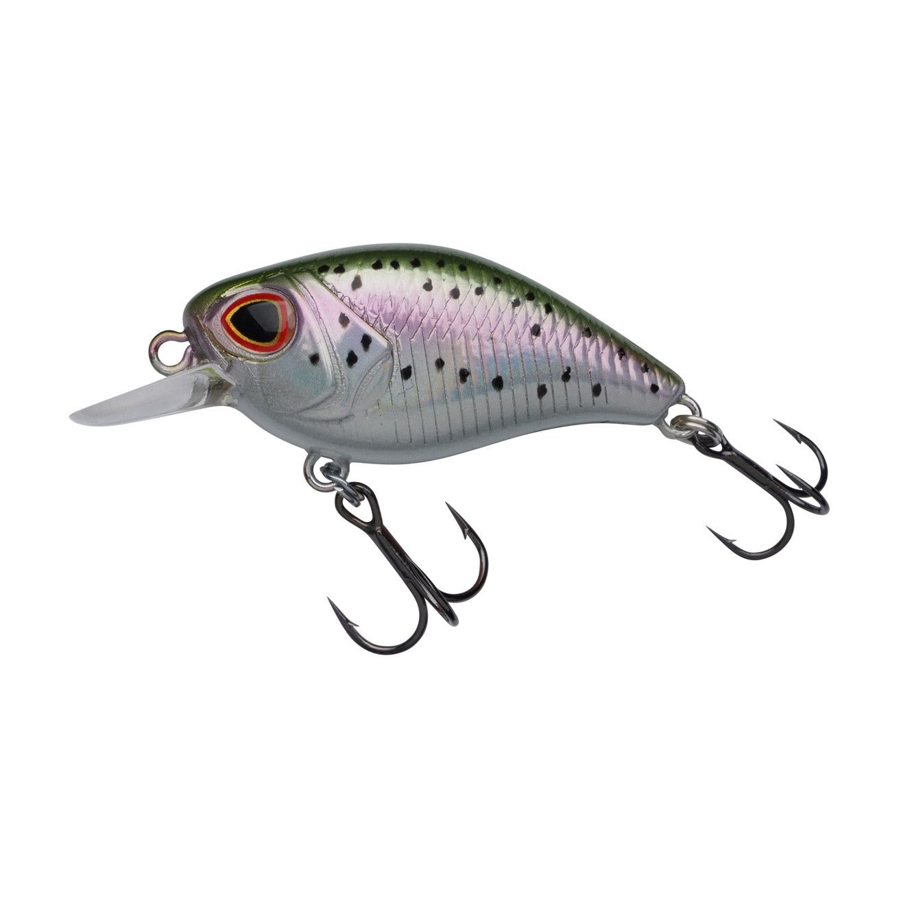 DEX Thumper 4 cm 3.7 g, Rainbow trout