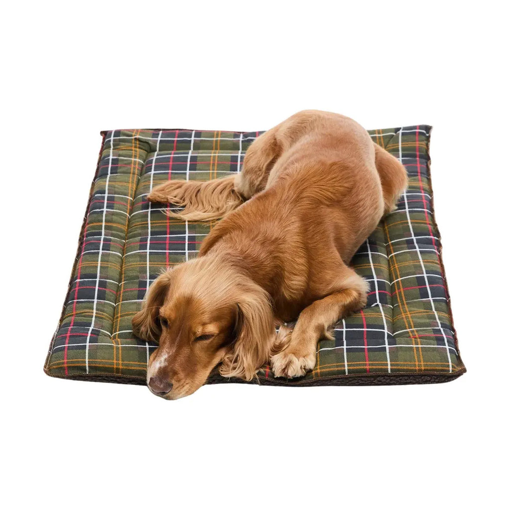 Dog Cage Mat-4