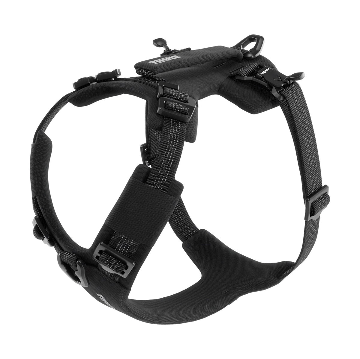 Dart Harness, Utrustning