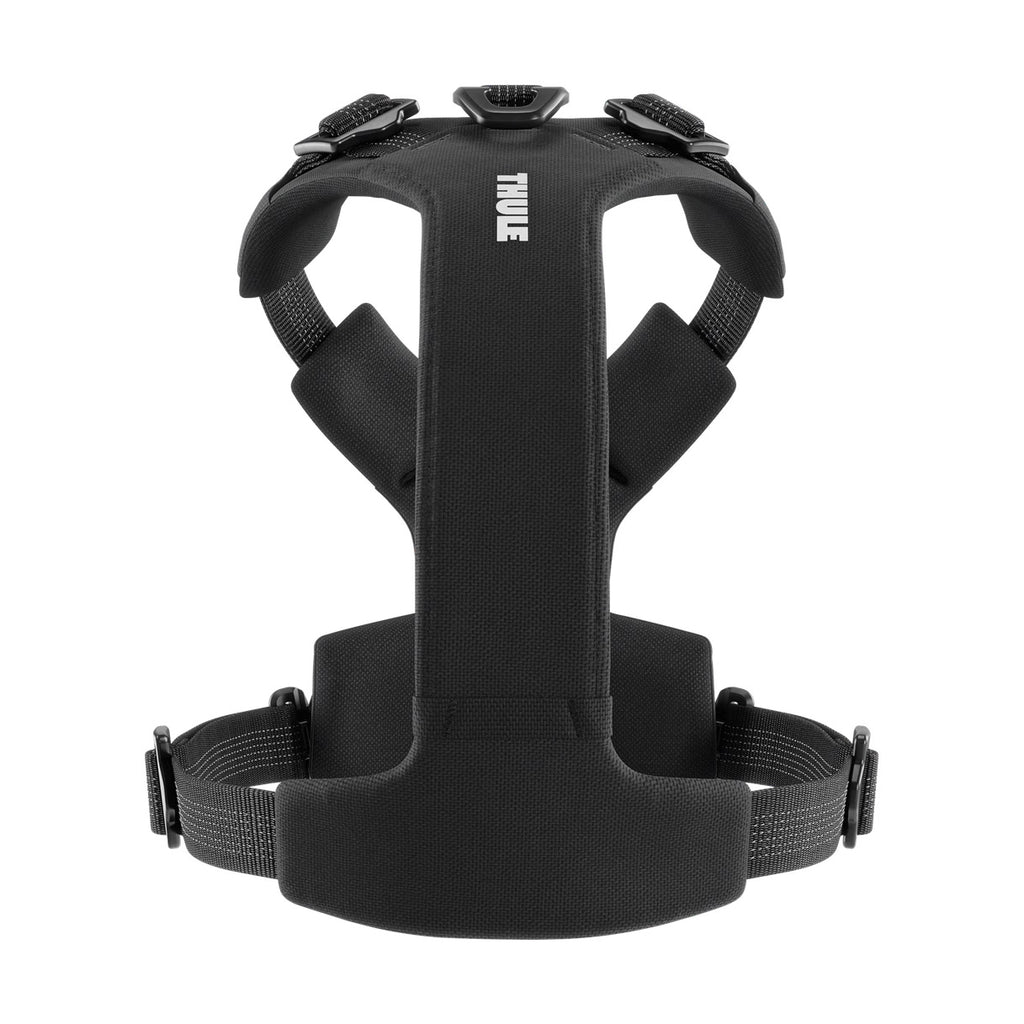 Dart Harness, Utrustning