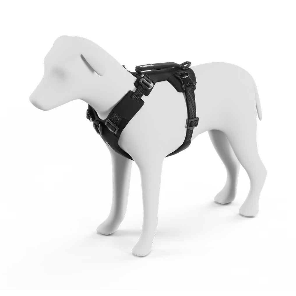 Dart Harness, Utrustning