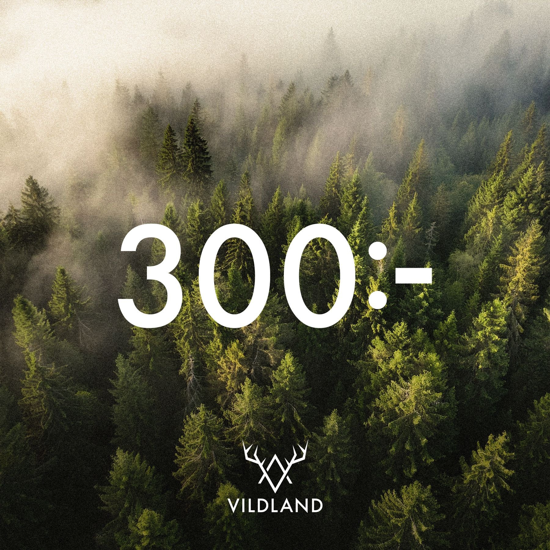 Vildland Presentkort 300-1