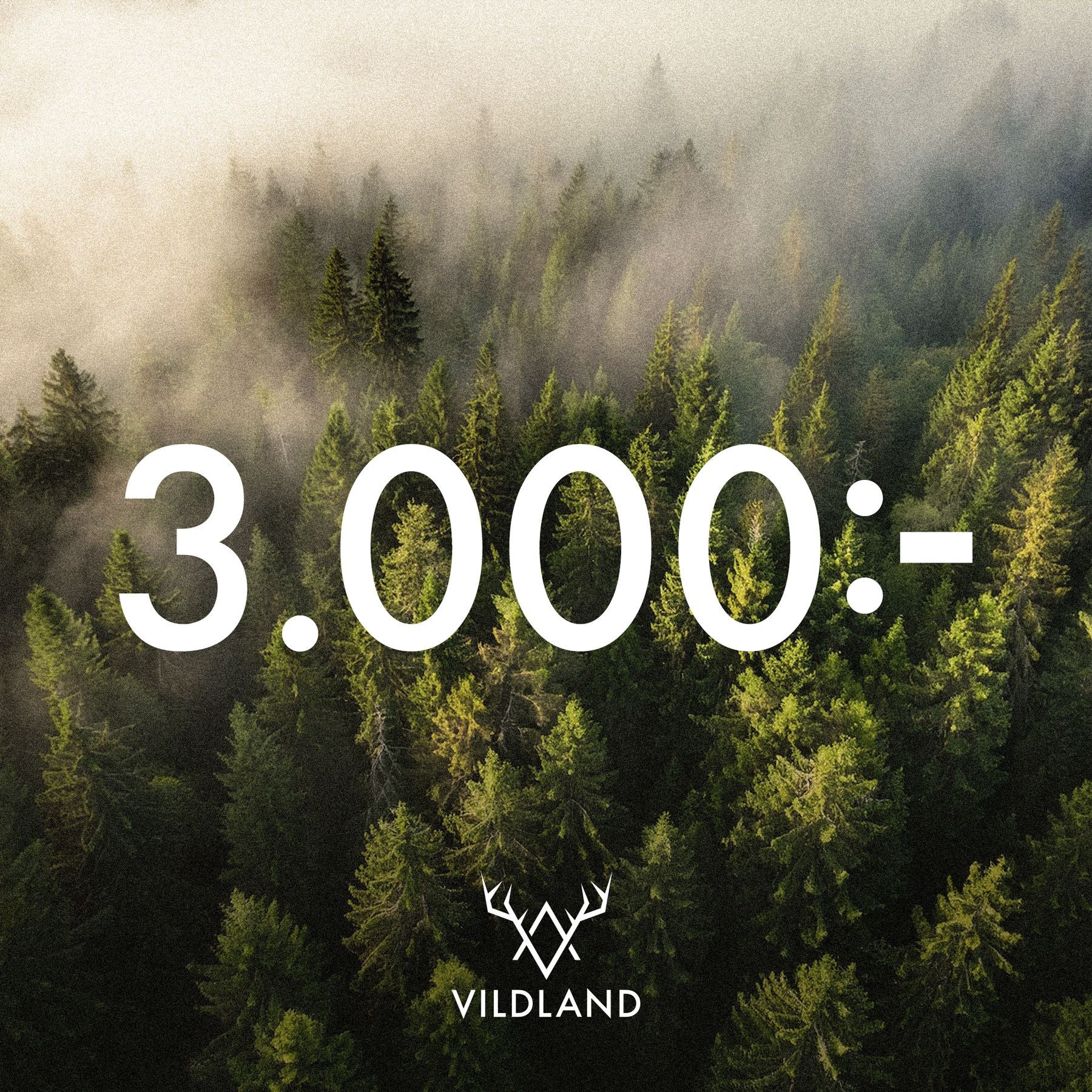 Vildland Presentkort 3000-1