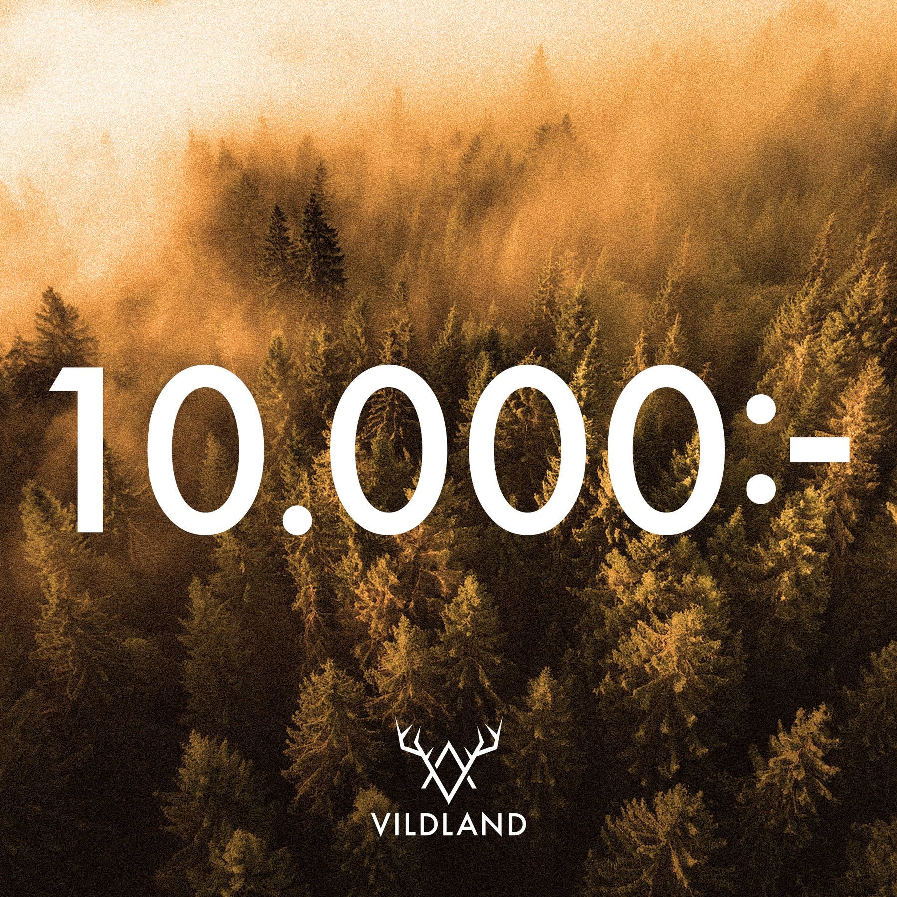 Vildland Presentkort 10 000-1