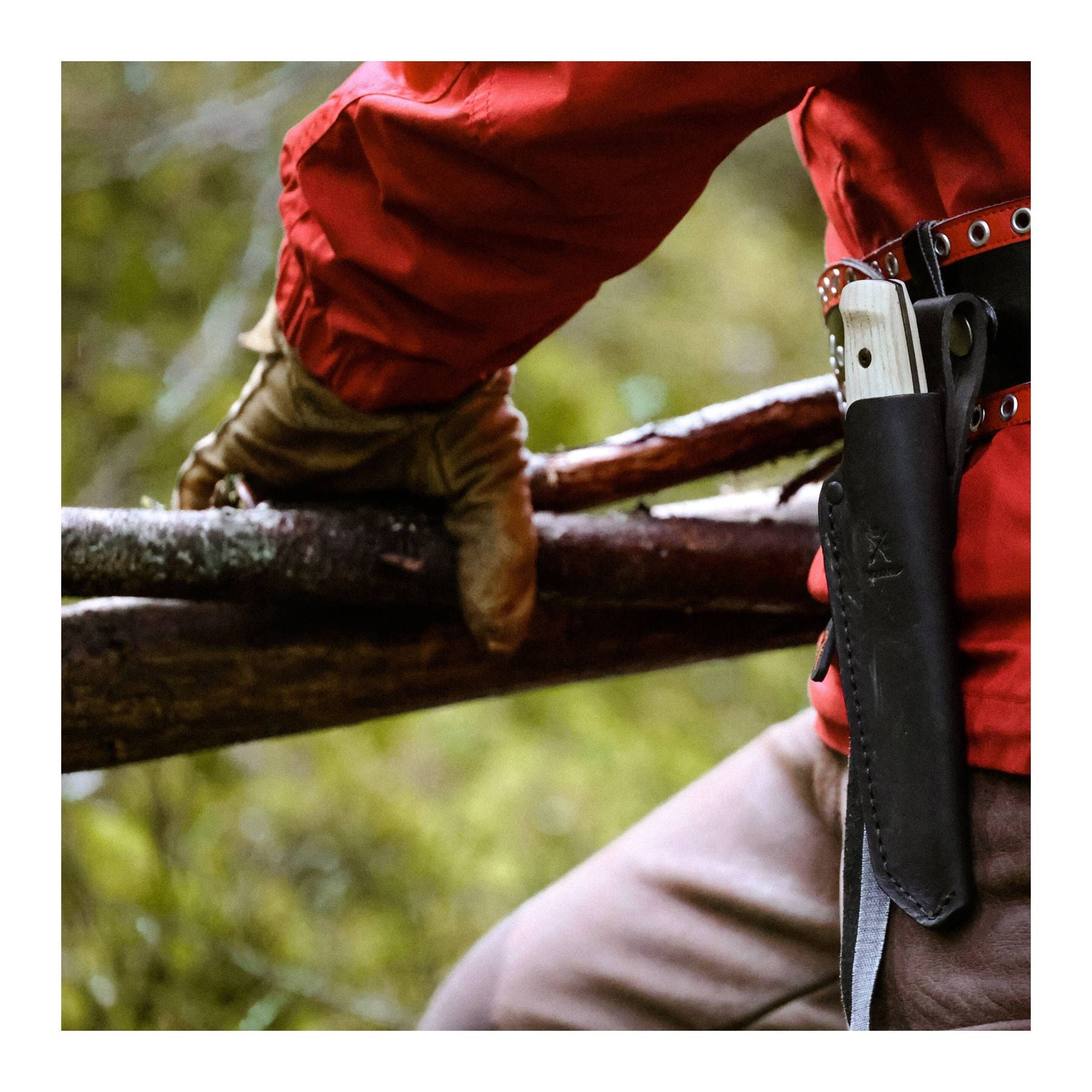 Wit BlackBlade (S) Ash Wood-5