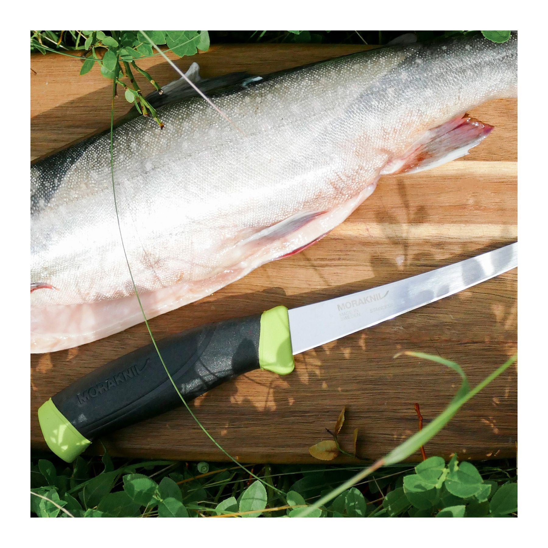 Companion Fishing Filé 155-2