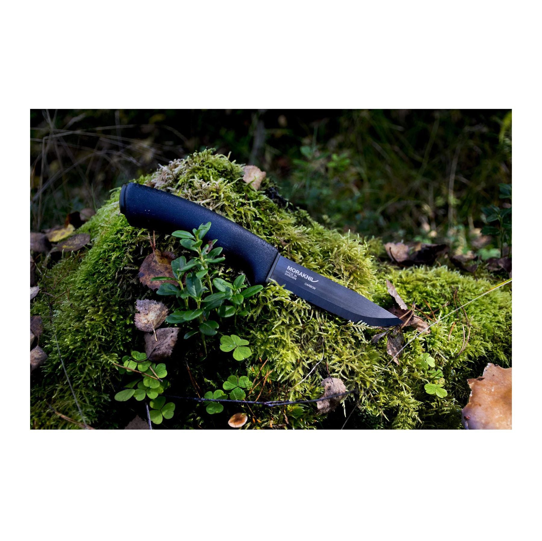 Bushcraft Survival-2