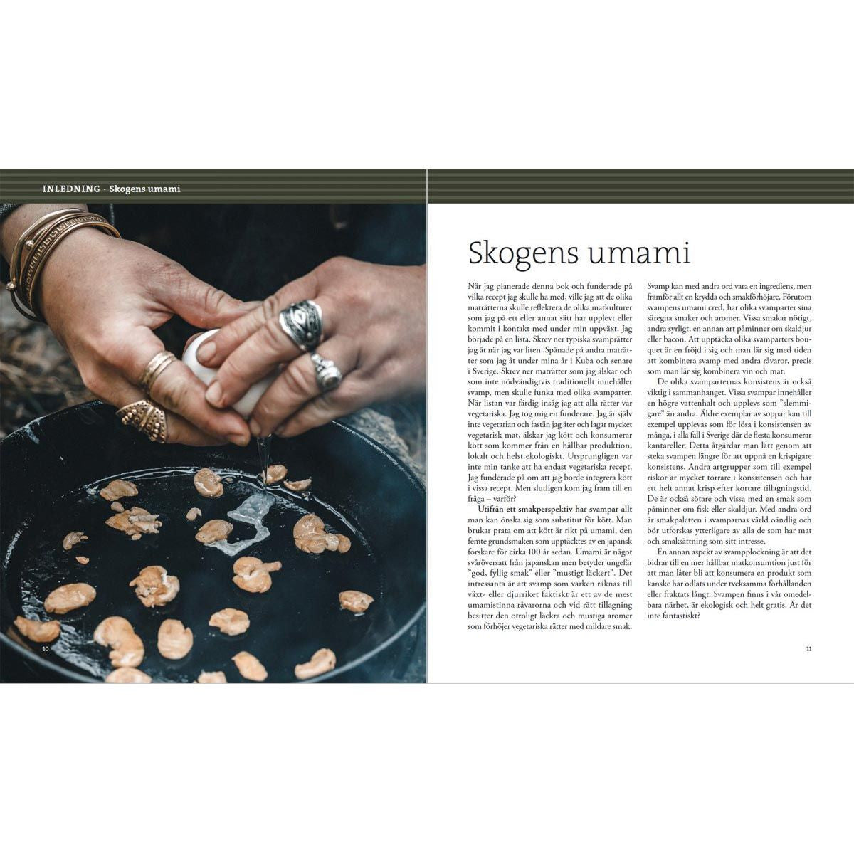 Svampbok för matälskare-2