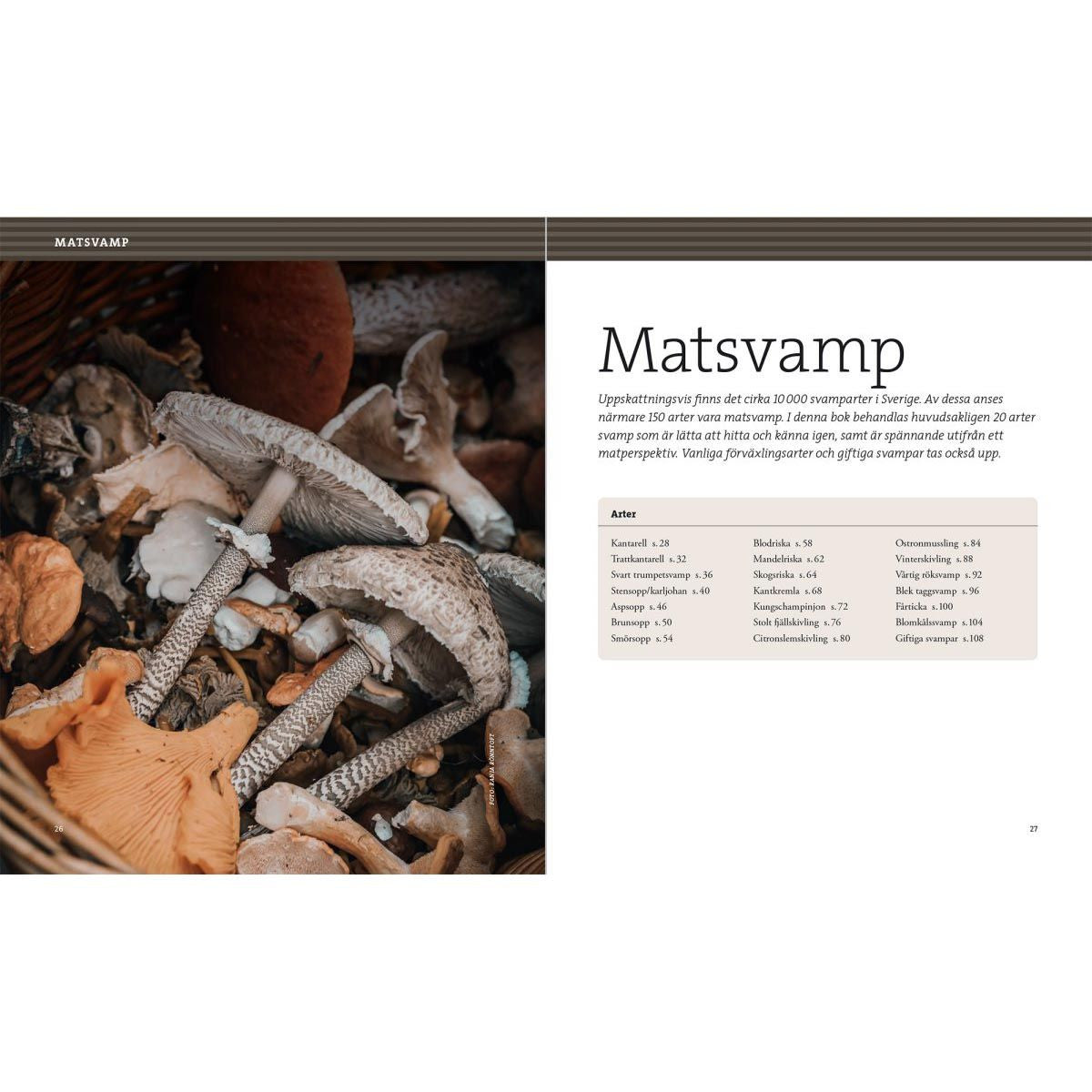 Svampbok för matälskare-3